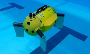 UCAT SP piscine robot tortue