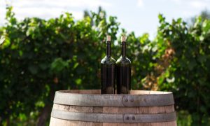 Prantsuse Instituudi õpituba Beaujolais veinid