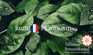 Tallinna Botaanikaaed_Taimeriigi Suursaatkond_Prantsusmaa